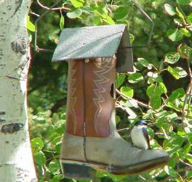 ������ ������