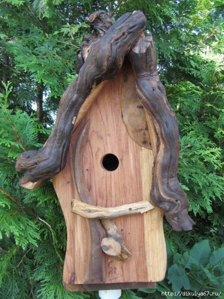 ������ ������