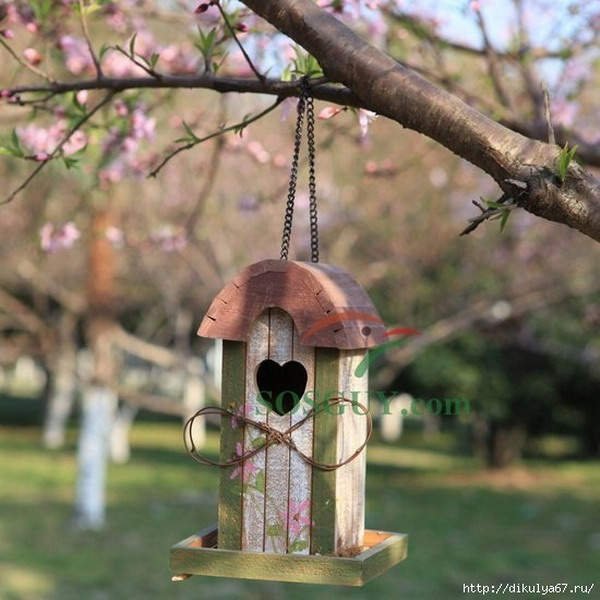 ������ ������