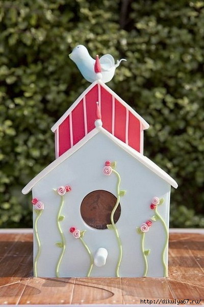 ������ ������