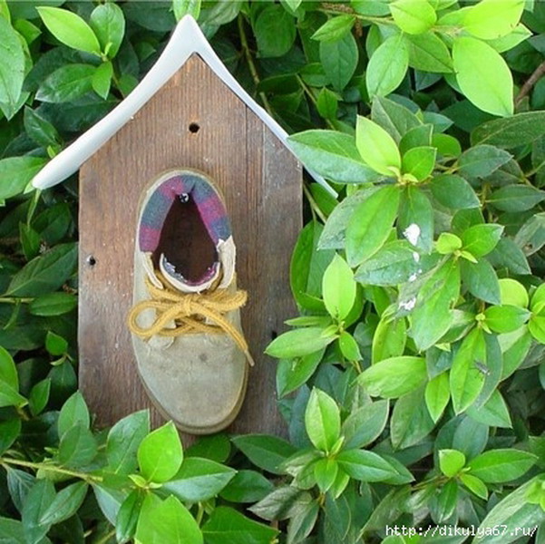 ������ ������