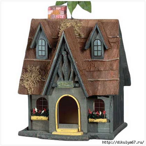 ������ ������