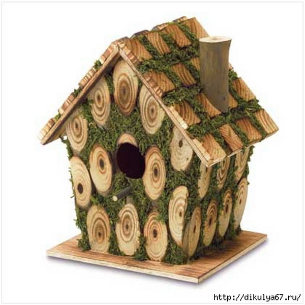 ������ ������