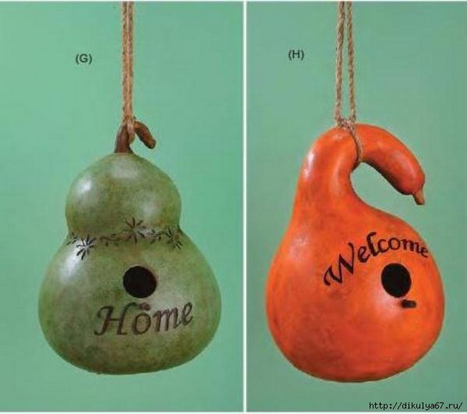 ������ ������