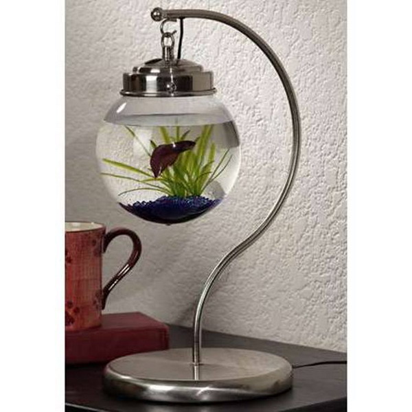 ���� ���������