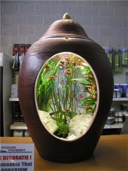 ���� ���������