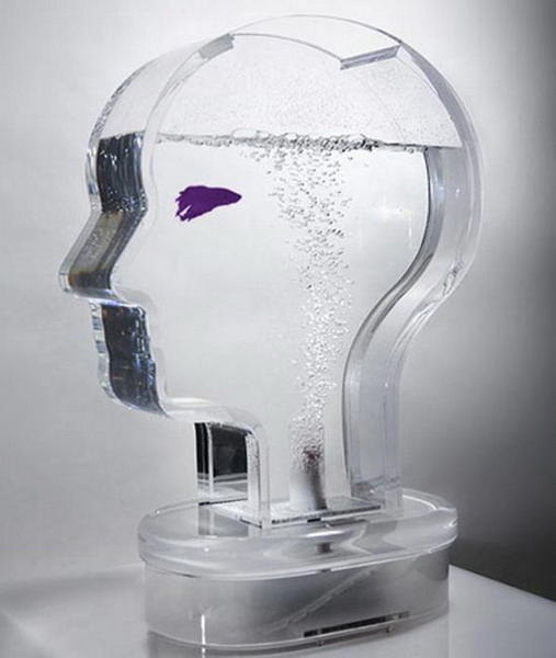 ���� ���������