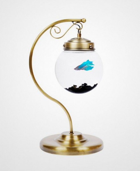 ���� ���������