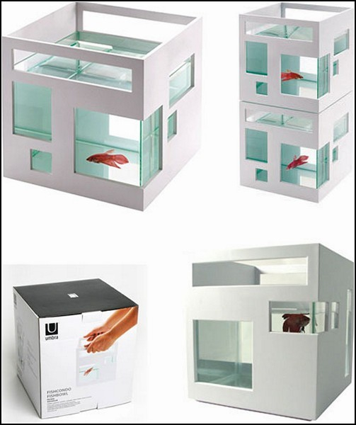 ���� ���������