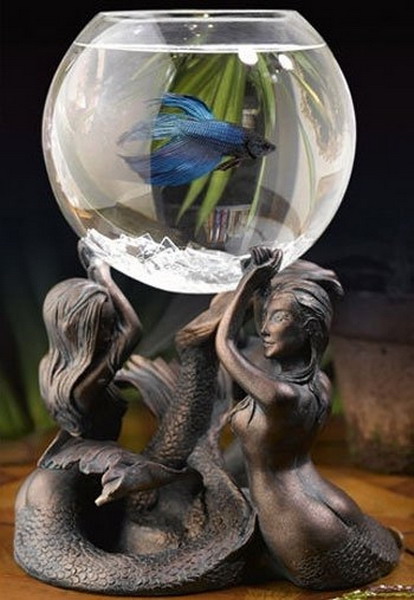 ���� ���������