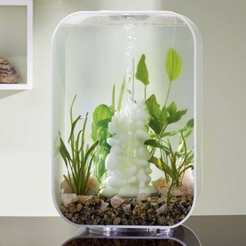 ���� ���������