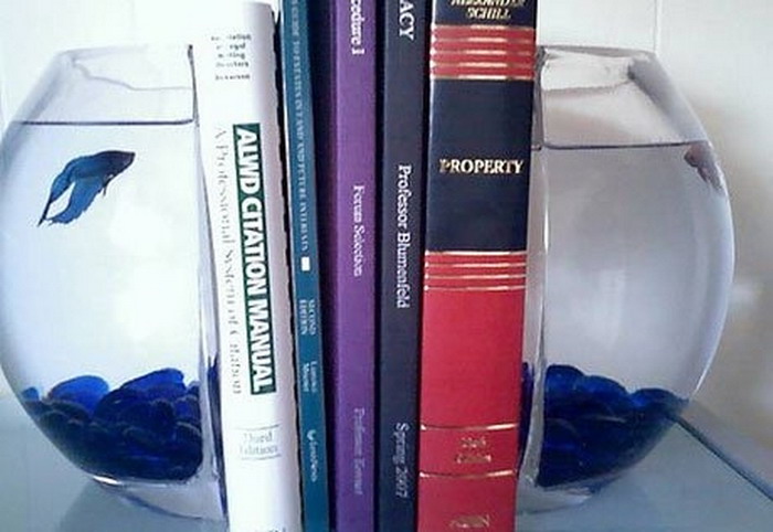 ���� ���������