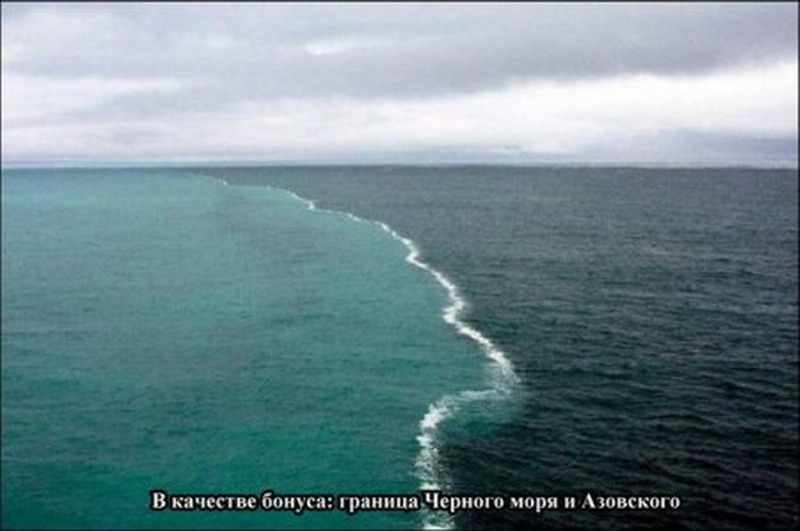 ��� �������� �������