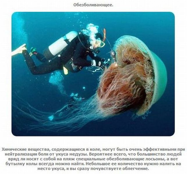 ��������� ������������� ����-����