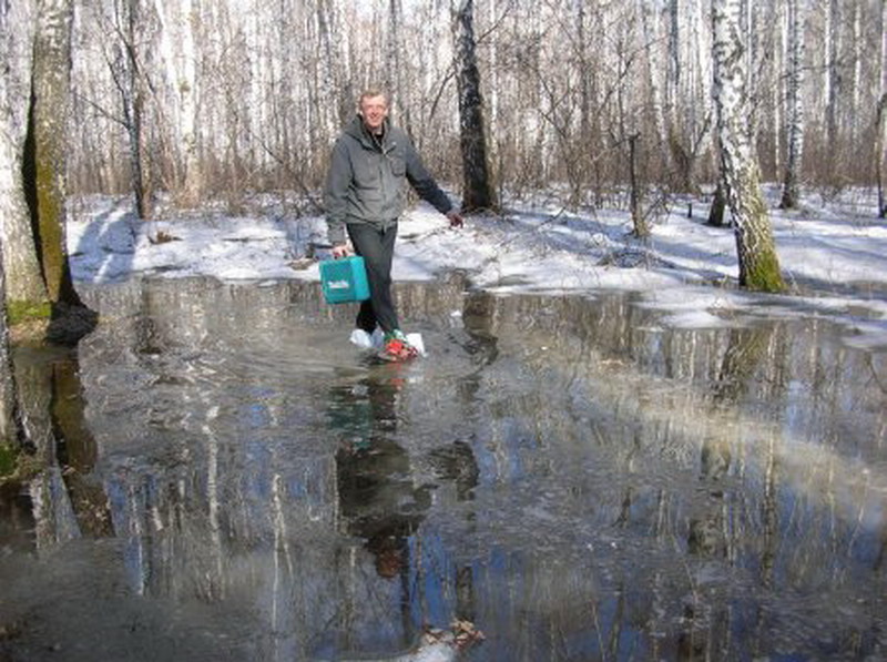 ����� ���� �� ������