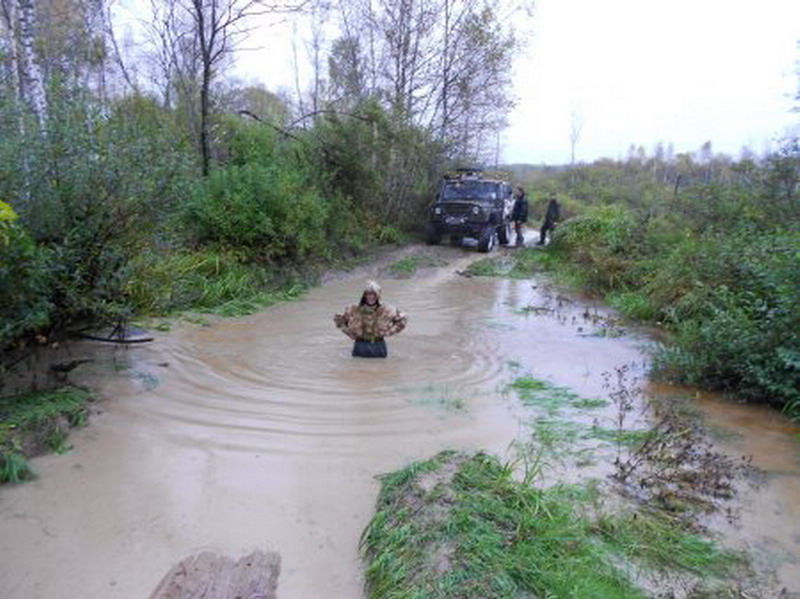 ����� ���� �� ������