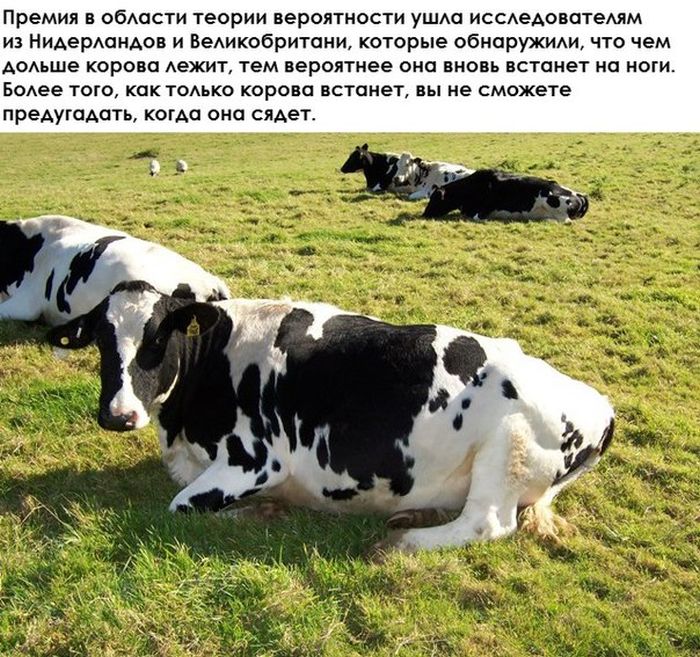 ������ �������� �������������