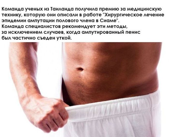 ������ �������� �������������