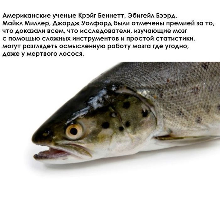 ������ �������� �������������