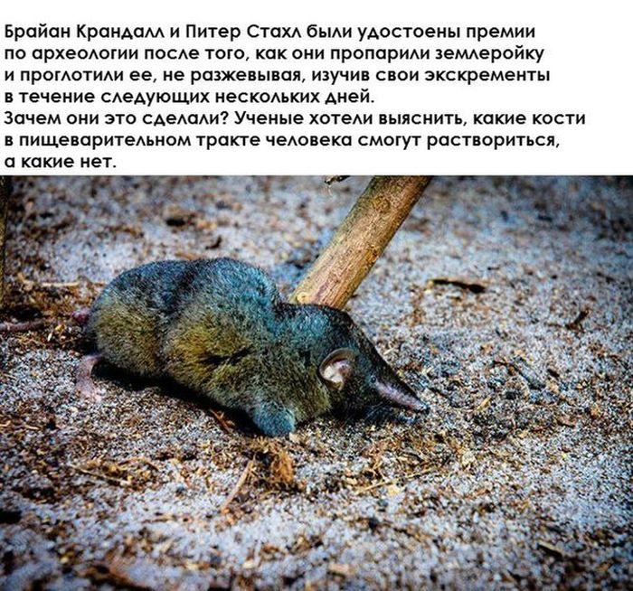 ������ �������� �������������