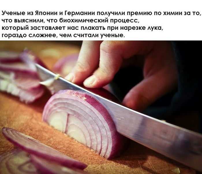 ������ �������� �������������