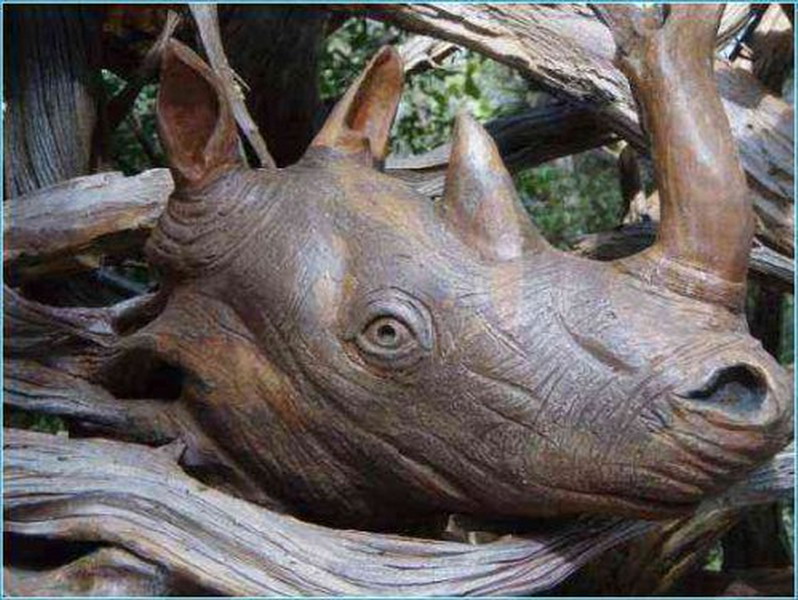 ��� ��� �� ������