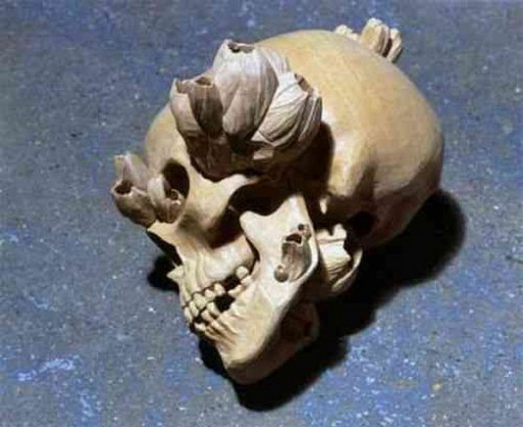 ��� ��� �� ������