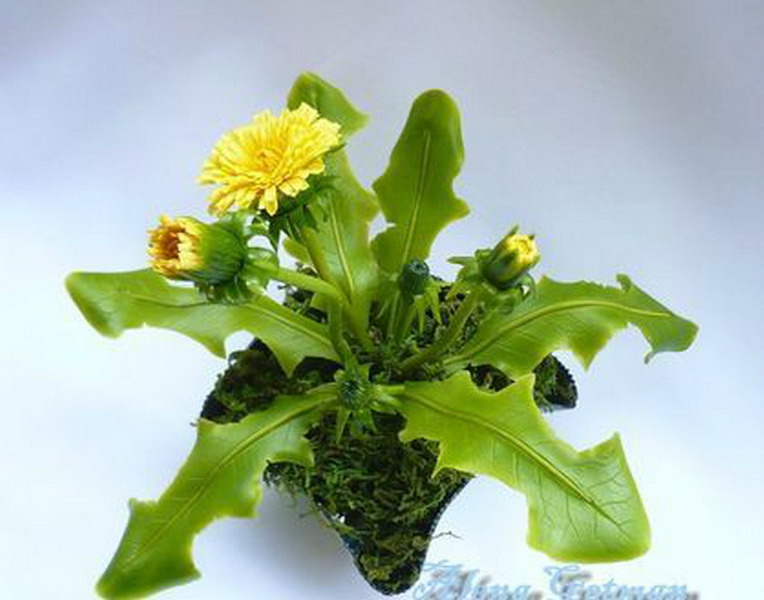 ������������ ���������� ����� ������