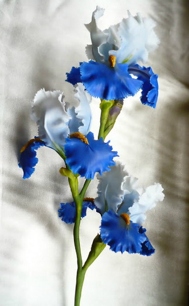 ������������ ���������� ����� ������