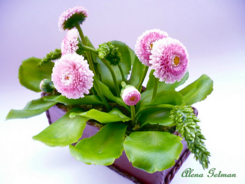 ������������ ���������� ����� ������