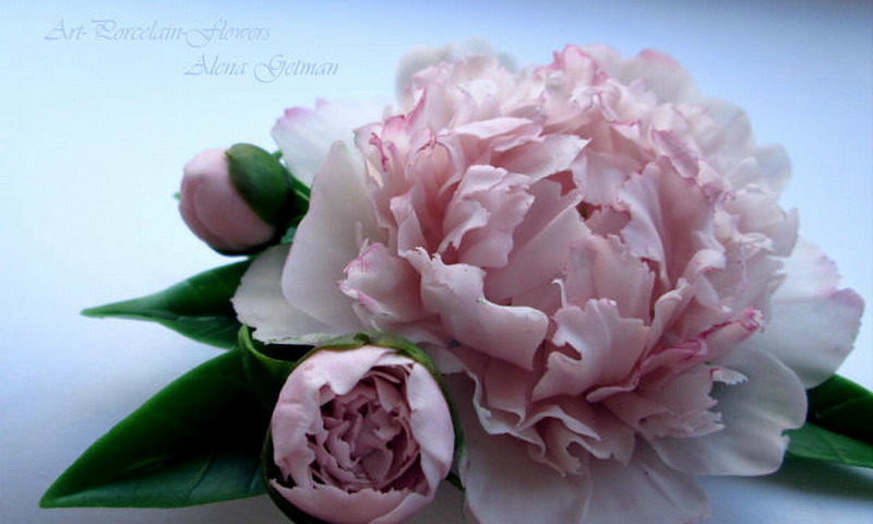 ������������ ���������� ����� ������