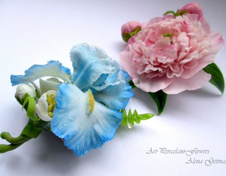 ������������ ���������� ����� ������