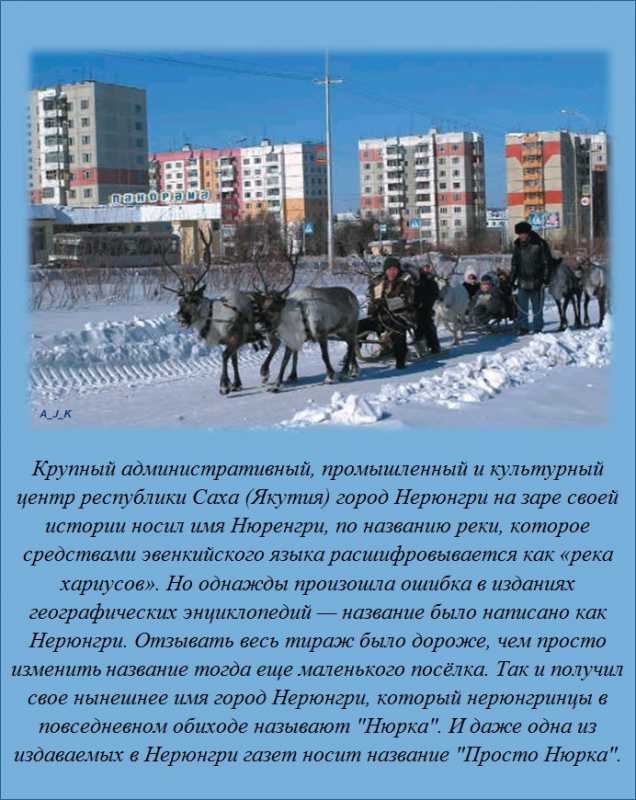 ������������ �����