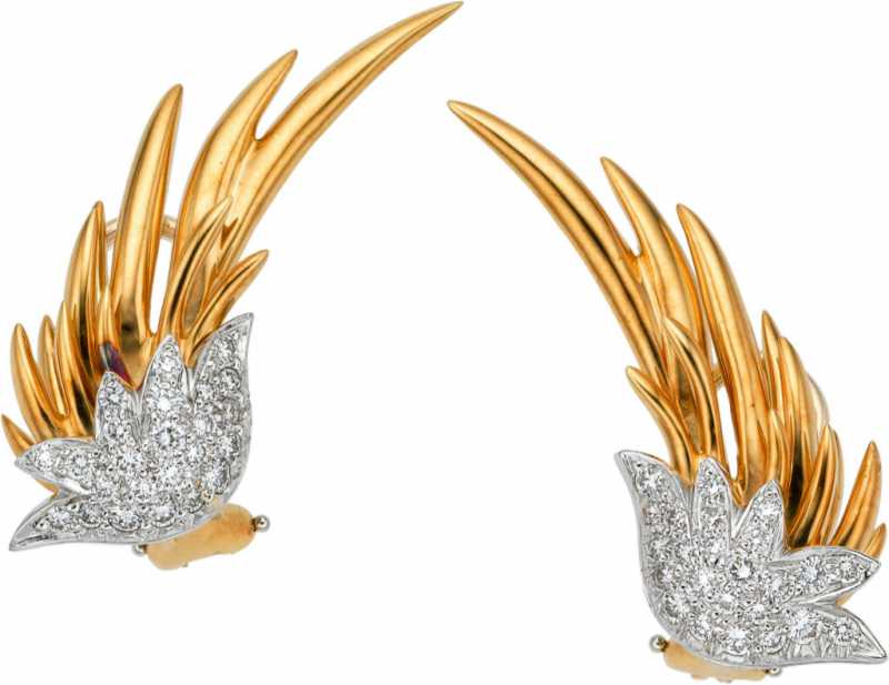 ��������� �����