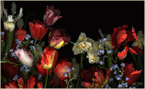 ��������� ������ � ��������