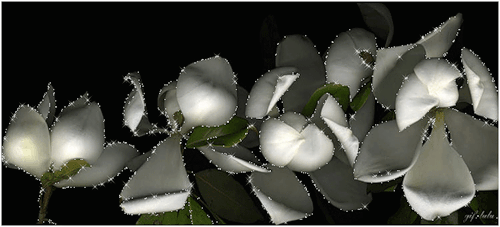 ��������� ������ � ��������