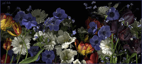 ��������� ������ � ��������