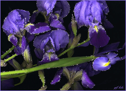 ��������� ������ � ��������