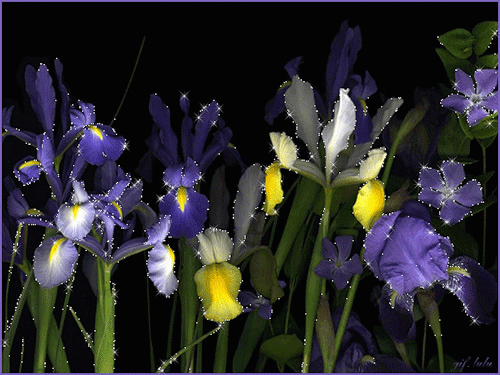 ��������� ������ � ��������