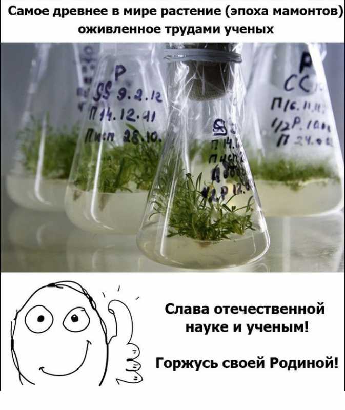 ������� ������� !