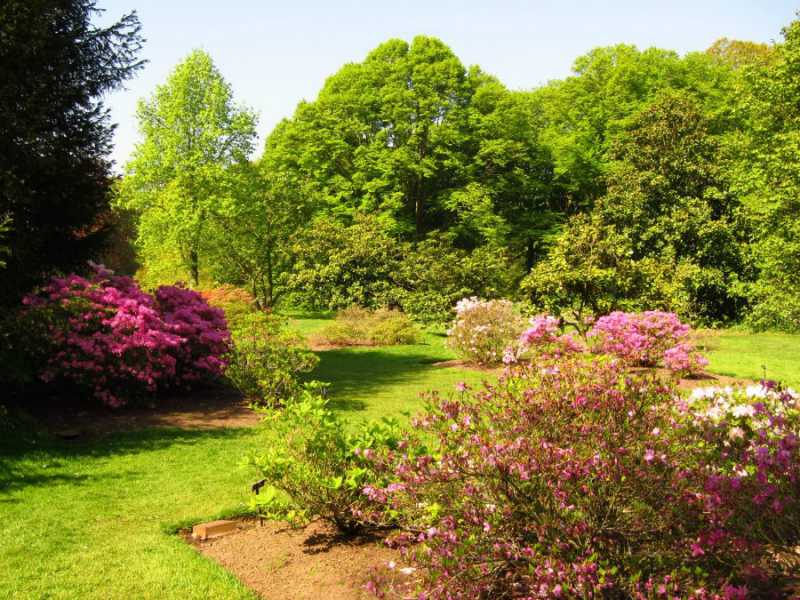 Сады и парки Англии